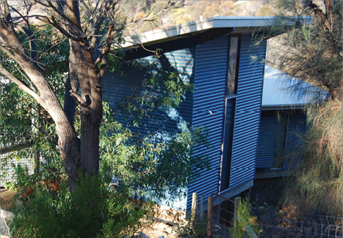 A two-storey home made from corrugated blue steel has a very tall tree growing just to one side of it.