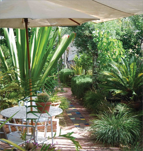 A dense garden made up of plants of varying heights, with a garden table, chairs and umbrella sitting under shade in the foreground.