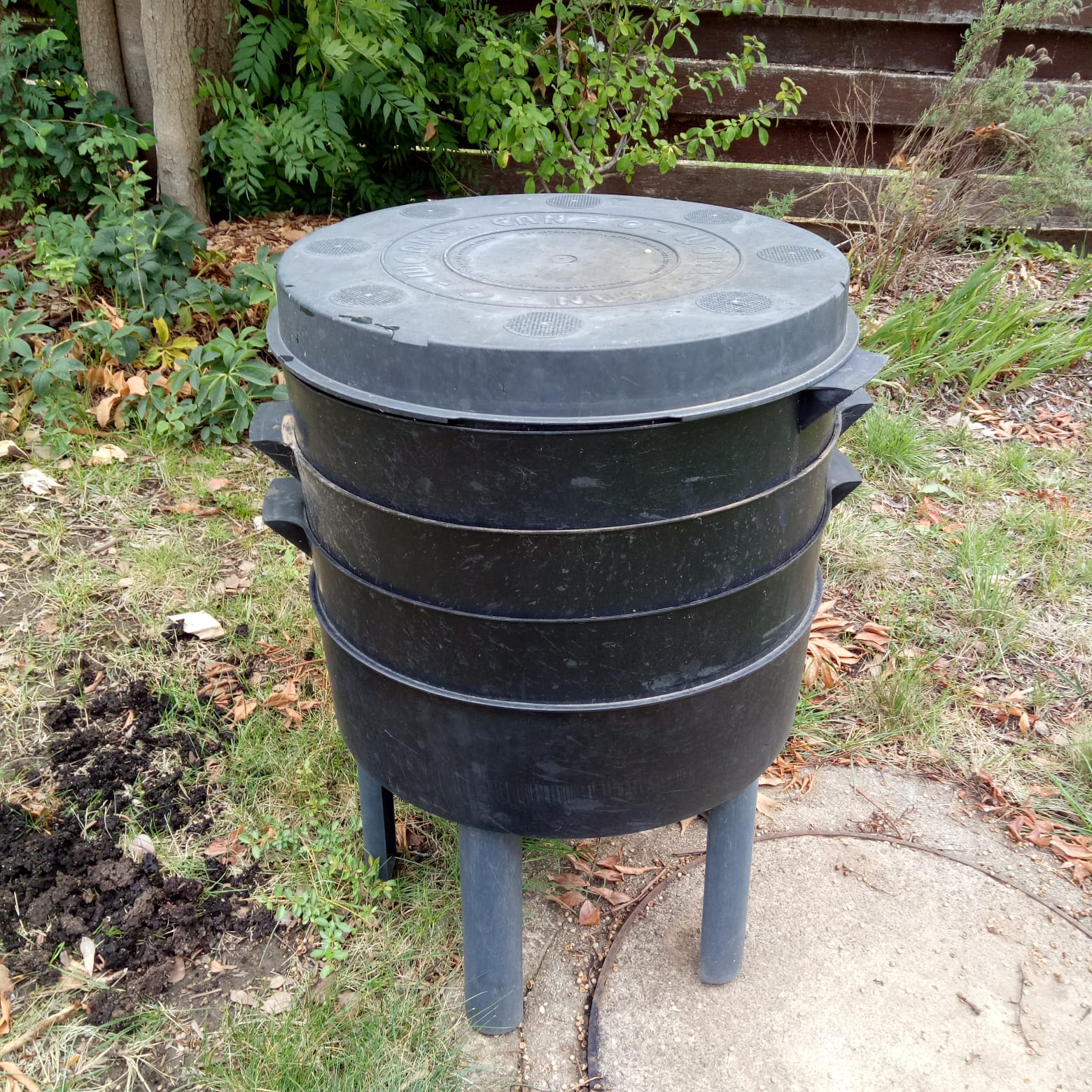 A photograph shows a three-tiered worm farm which has been set up in a garden area. 