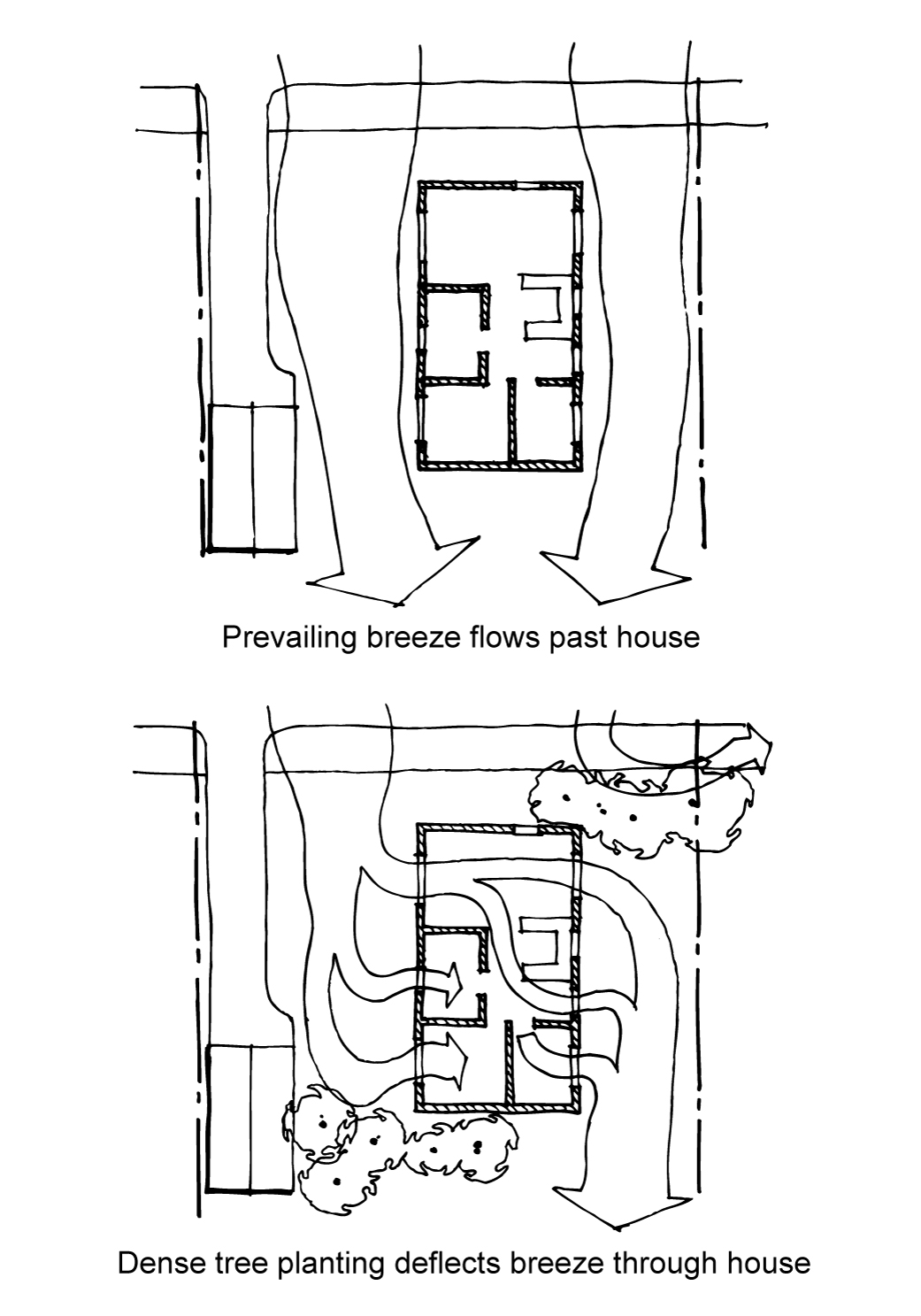 Two versions of the same house on a residential site. In the first version, there is no vegetation around the house and the breeze flows past the house. In the second version, shrubbery has been placed in the path of the breeze so that the breeze is diverted into the house windows