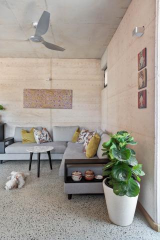 living area with a pot plant 